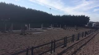 Kate & Rocky Gridwork (2) Somerford Park Camp 09.04.2018