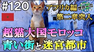 #120【猫が幸せに生きれる国】アフリカ大陸再開一発目の国は猫カフェが最も必要のない国だった（フェズ、シェフシャウエン / モロッコ①）世界一周