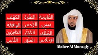 Maher Al Mueaqly ∥ 12 Surahs ∥