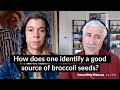 How does one identify a good source of broccoli seeds? | Jed Fahey