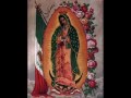 Adios Reyna del Cielo-Alabanzas a la Virgen de Guadalupe con Mariachi