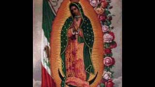 Video thumbnail of "Adios Reyna del Cielo-Alabanzas a la Virgen de Guadalupe con Mariachi"