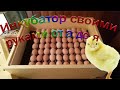 Инкубатор своими руками от а до я