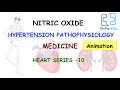 Nitric oxide  hypertension pathophysiology  medicine  heart series 10