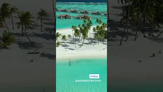 Luxury Resorts Maldives shorts