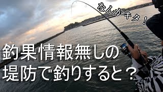 釣果情報が一切無い堤防でショアジギングするとこうなります【千葉編】