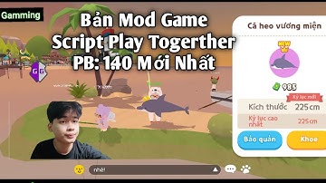 Hướng Dẫn Dùng Script MOD Play Together 1.40 Lọc Cá = cơm, bửa cũi |Xíu Gamming