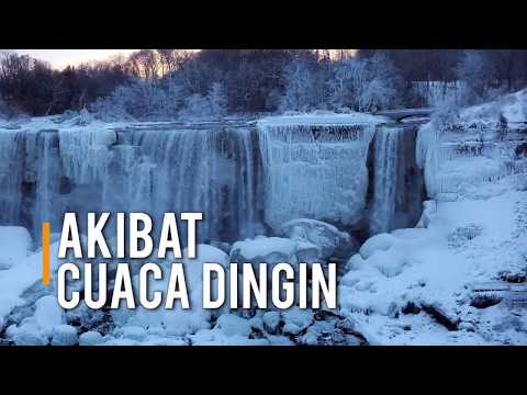 Video: Musim Dingin di Air Terjun Niagara: Panduan Cuaca dan Acara