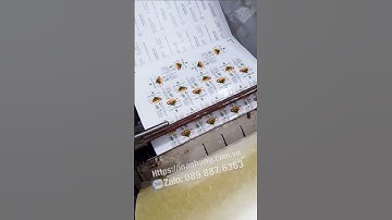 Tem nhãn dán sữa hạt macca #in_an_hưng #inanhung #intemnhan