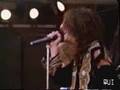 The Black Crowes - Everybody Must Get Stoned (Live Cover)
