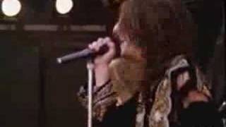 The Black Crowes - Everybody Must Get Stoned (Live Cover)