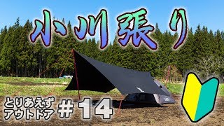 初心者が小川張りをやってみた