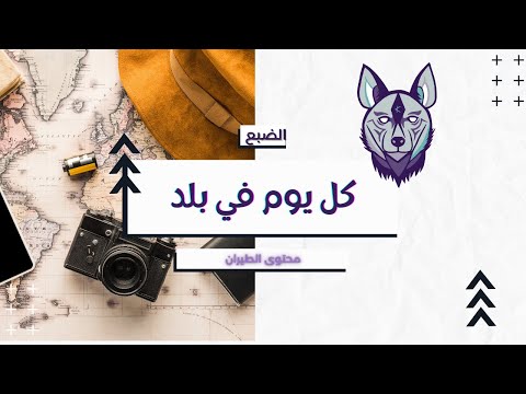 كم هي رائعة حياة الطيار