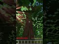 MINECRAFT MA...