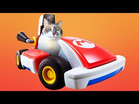 Mario Kart Live Vs. My Cats