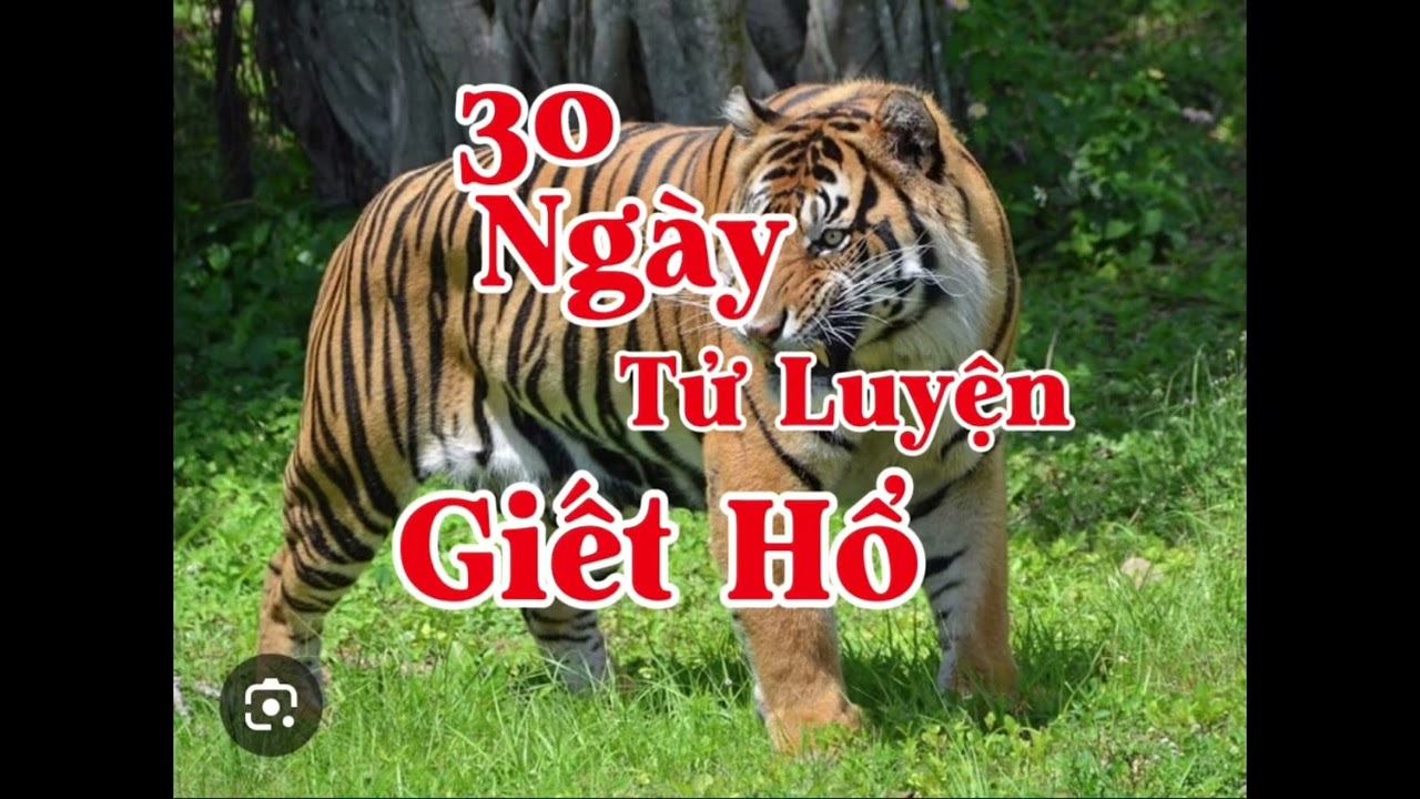30 NGÀY TỬ LUYỆN GIẾT HỔ | Lê Anh diễn đọc 