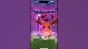Dynamax Eevee counter #pokemongo #pokemon #eevee