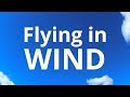 Tips for RC plane flying in strong winds