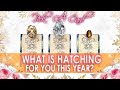 What is hatching for you THIS YEAR? 🔮🥚🐣💝 PICK A CARD 🧡 Detailed Timeless Tarot