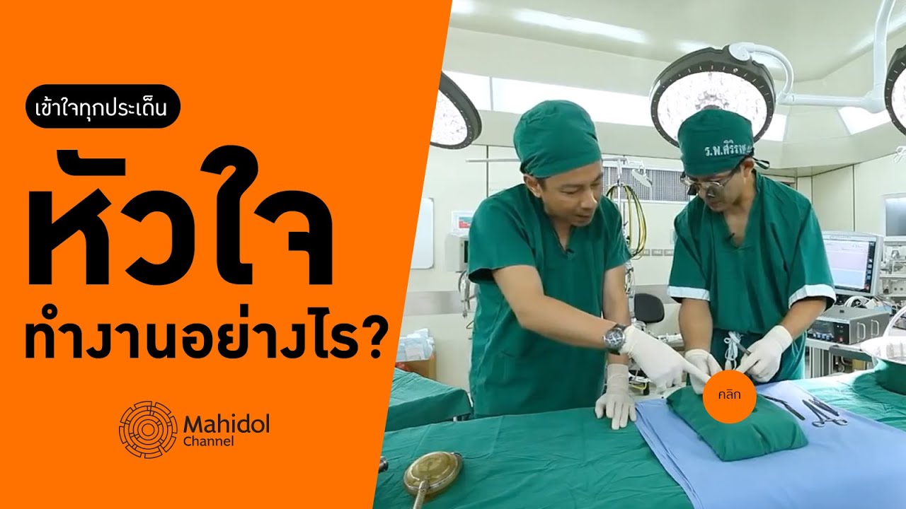 'หัวใจ' ทำงานอย่างไร? [หาหมอ by Mahidol Channel]