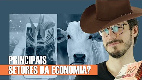 Quais são os setores da economia?