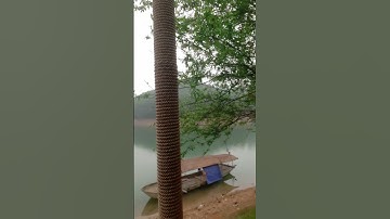 Thư giãn đảo hoa Hồ Núi Cốc #suhướng #picnic #đảo #hoa #hồ #núi #cốc