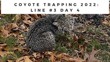 Coyote Trapping 2022:  Line #3 Day 4