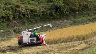 KUBOTA  ER 211 | Rice Harvest 2021 | Nagano Vlog
