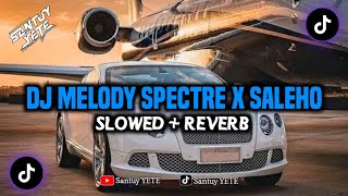 Dj Melody Spectre x Saleho x Avangard (Slowed + Reverb)