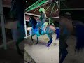 Corridos y caballos #viral #youtubeshorts #mexico #caballos #bandatradicional #regionalmexicano #us