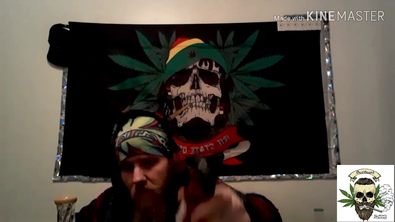 Sunshine #4 strain review in the Smoke Den