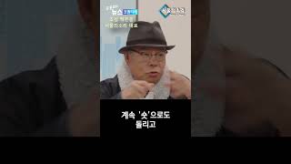 '서울의소리' '종편방송'에서 '가짜뉴스' 24시간 체…