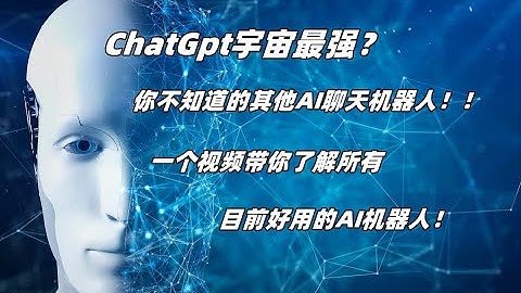 ChatGpt宇宙最强？你不知道的其他AI聊天机器人！一个视频带你了解所有目前好用的AI机器人！