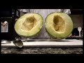 メロンを切る