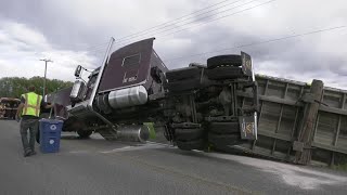 Truck hauling millions of bees crashes near Bozeman