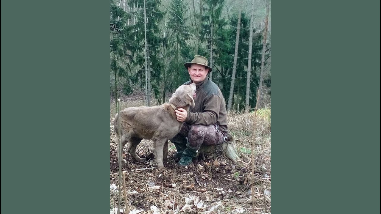 Farma u Petra ve Snědovicích