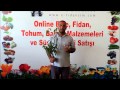 Download Kebaba Eriği Fidanı Çeşidi Özellikleri ve Satışı Kebaba Eriği Fidanı Çeşidi Özellikleri ve Satışı