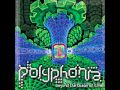 Polyphonia  the end of time