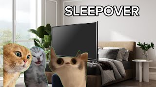 Sleepover Cat Meme シViral