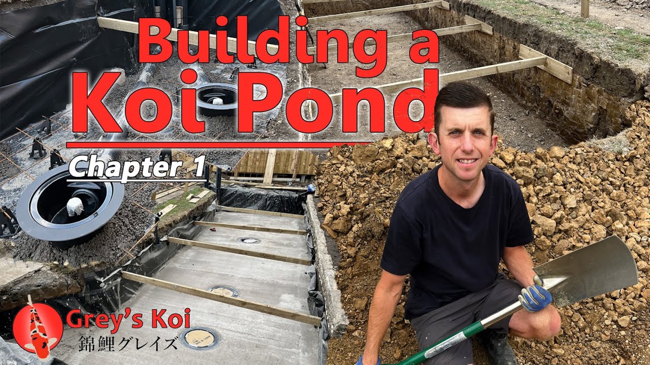 Building a Koi Pond - Chapter1 - Grey's Koi