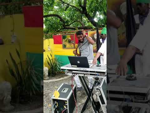 Ffurious - performance at capleton birthday celebration