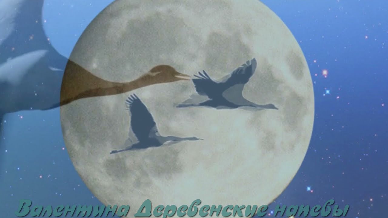 \"Журавли - журавли \" Николай Курочкин - YouTube