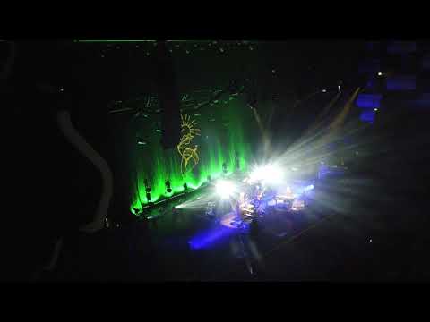 David Gray - The Sapling live at the Royal Festival Hall