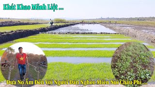 Thế Nhân ll Từng Bước Xây Đắp Lên Cánh Đồng Lúa Nước Ở Châu Phi Và Những Gian Nam Còn Phía Trước