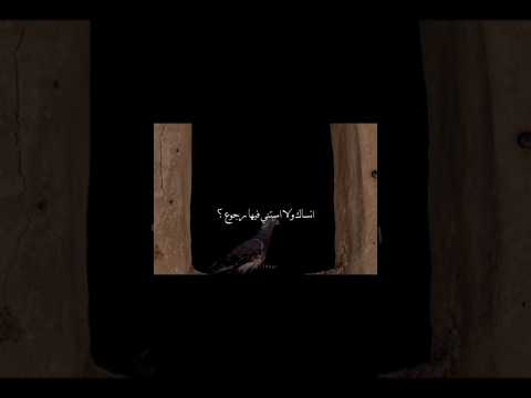 وانساك ولا استنا فيها ارجوع 
