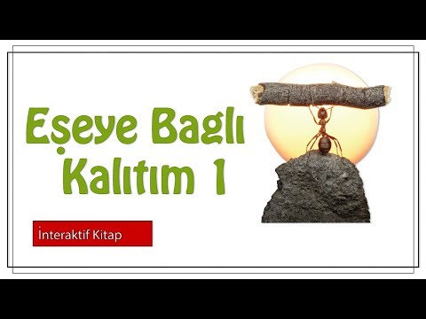 Eşeye Bağlı Kalıtım 1 #sayfa162