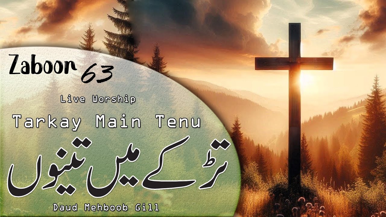 Porno filmda Peta Wilson