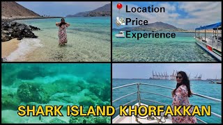 Shark Island, Khorfakkan, UAE  Location, Price & Experience