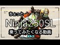 【バイク試乗】Ninja250SL 魅力しかない絶版Ninja 初心者オススメ２５０cc