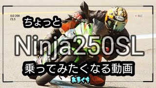 【バイク試乗】Ninja250SL 魅力しかない絶版Ninja 初心者オススメ２５０cc